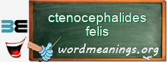 WordMeaning blackboard for ctenocephalides felis